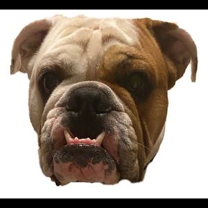 Meet your Posher, Frank-leslie